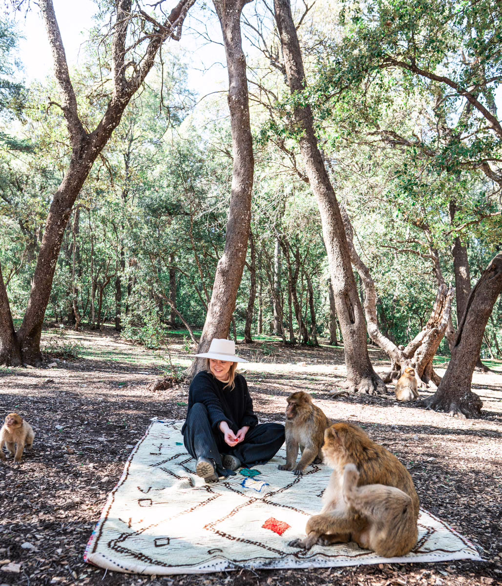 Aito marokkolainen Azilal vintage matto MADesign 2025